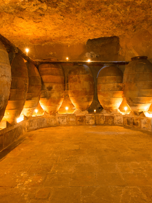 Dizajn bez naslova (1)